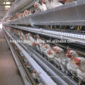 La cage de poulet de volaille, y compris l&#39;installation et le service après-vente à vendre